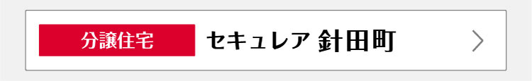 セキュレア針田町